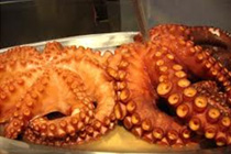 Galician-octopus